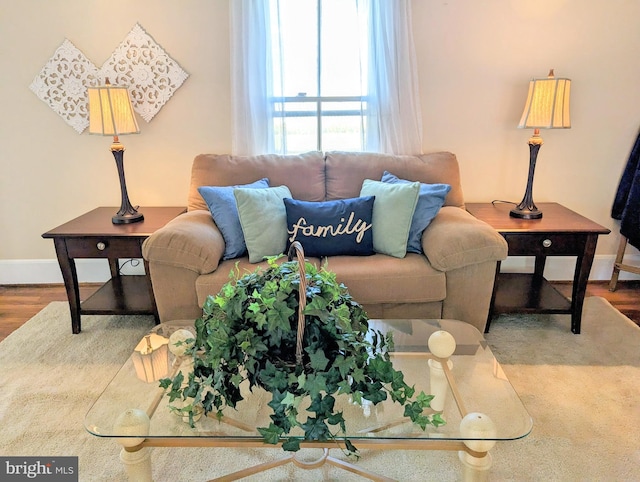 living room with hardwood / wood-style flooring