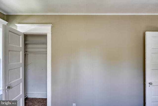 unfurnished bedroom with ornamental molding, a closet, and carpet flooring