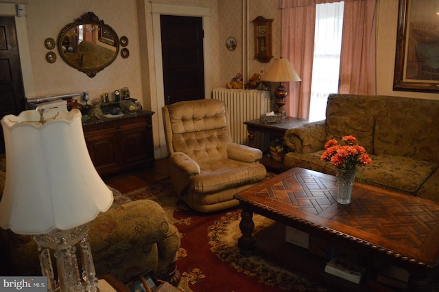 living area featuring radiator heating unit