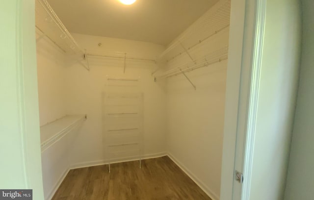 spacious closet with hardwood / wood-style flooring