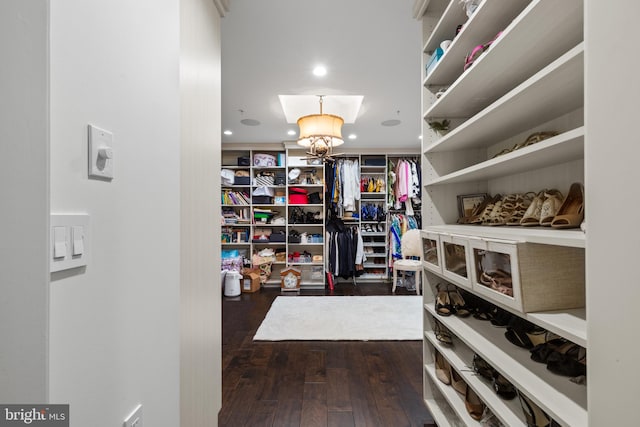 walk in closet featuring dark hardwood / wood-style floors and an inviting chandelier