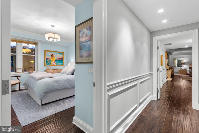 walk in closet with wood-type flooring