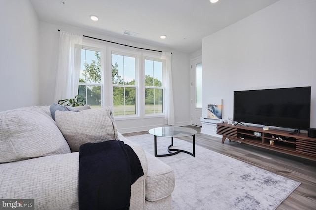 living room with a wealth of natural light and dark hardwood / wood-style floors