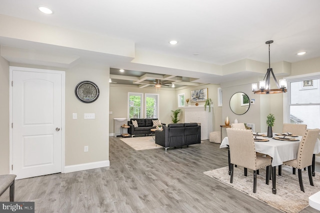 dining space with light wood-type flooring, a fireplace, ceiling fan with notable chandelier, coffered ceiling, and beam ceiling