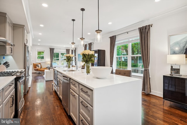 kitchen with stainless steel appliances, sink, gray cabinets, dark wood-type flooring, and a kitchen island with sink