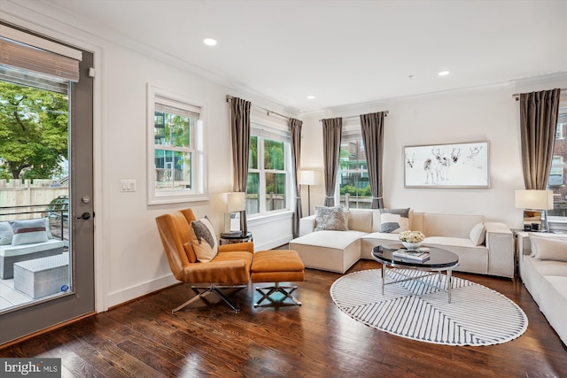 living room with crown molding and dark hardwood / wood-style flooring