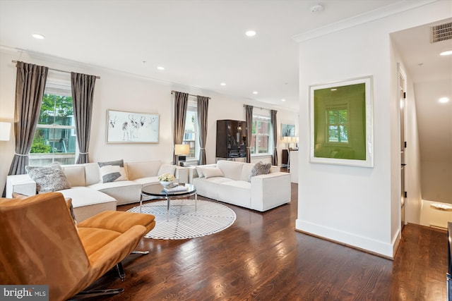 living room with dark wood-type flooring and crown molding