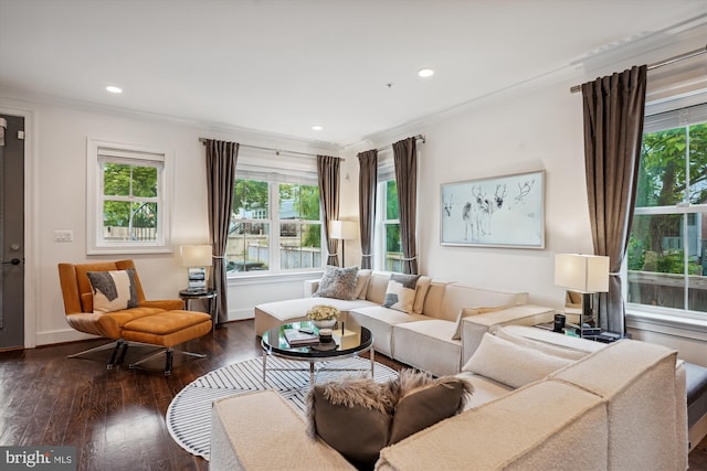 living room featuring ornamental molding and dark hardwood / wood-style flooring