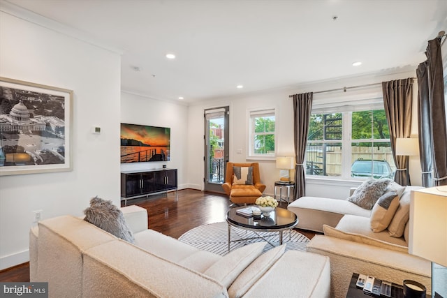 living room featuring ornamental molding and dark hardwood / wood-style flooring