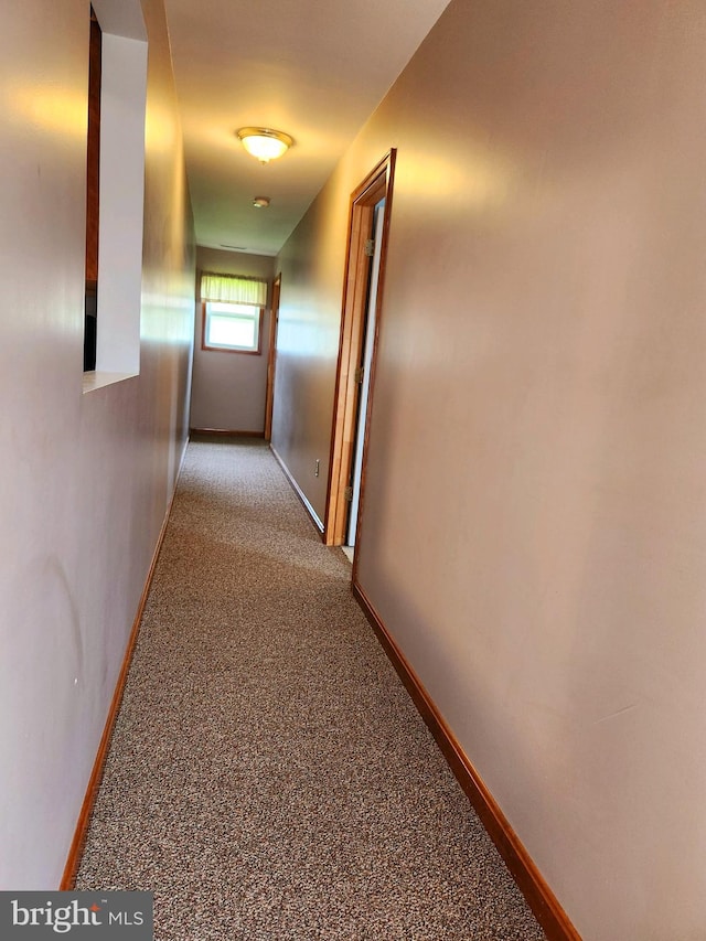 hall with carpet