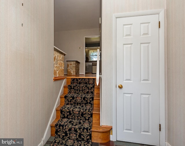 staircase featuring hardwood / wood-style floors