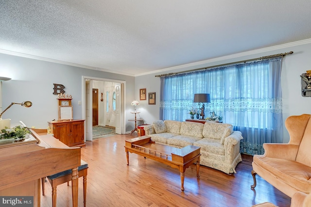 living room featuring a textured ceiling, ornamental molding, and hardwood / wood-style floors