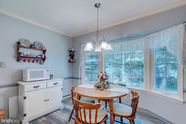 dining space featuring a notable chandelier, light hardwood / wood-style floors, and a wealth of natural light