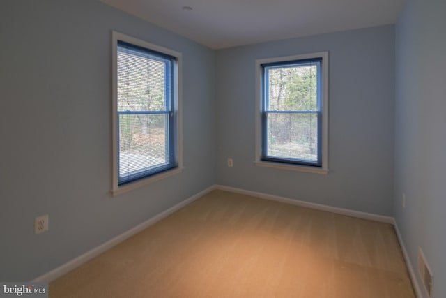 spare room featuring carpet floors