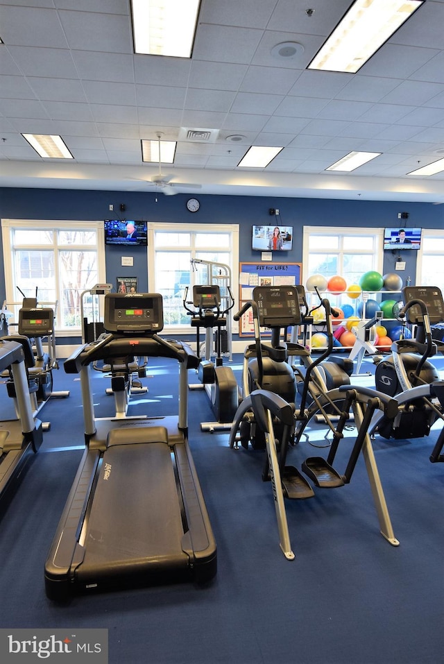 workout area featuring a drop ceiling and a healthy amount of sunlight