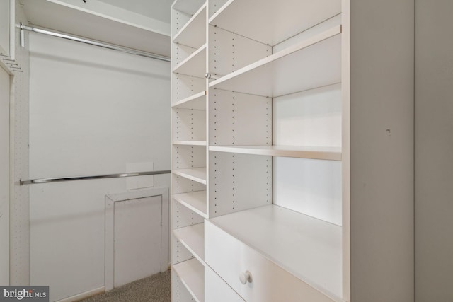 walk in closet featuring carpet floors