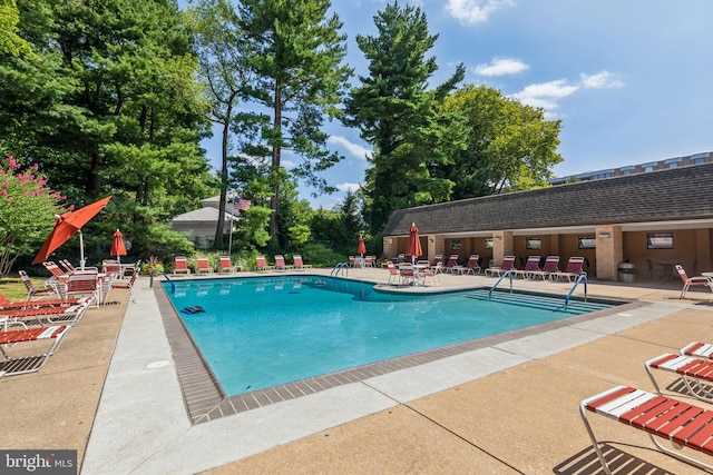 view of pool with a patio area