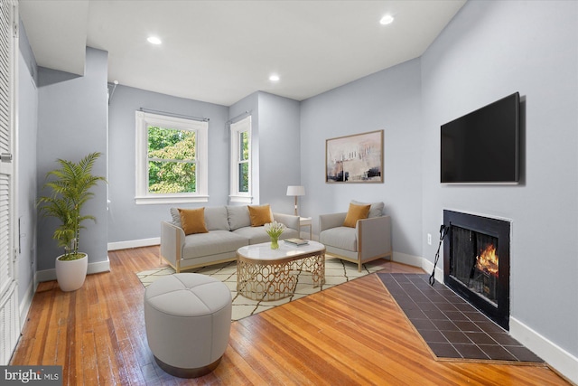 living room with wood-type flooring