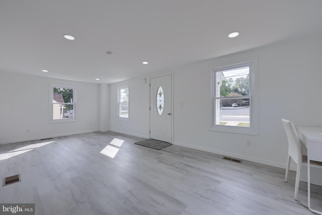 foyer entrance with light hardwood / wood-style flooring and a wealth of natural light