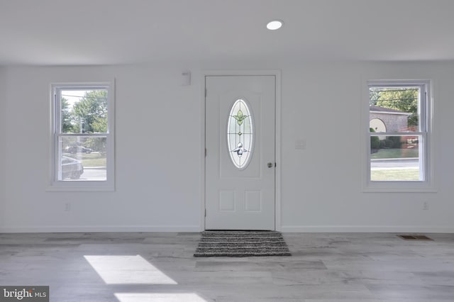 foyer featuring light hardwood / wood-style flooring and a wealth of natural light