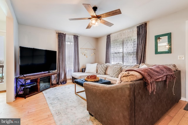 living room with light wood-type flooring, ceiling fan, and a wealth of natural light