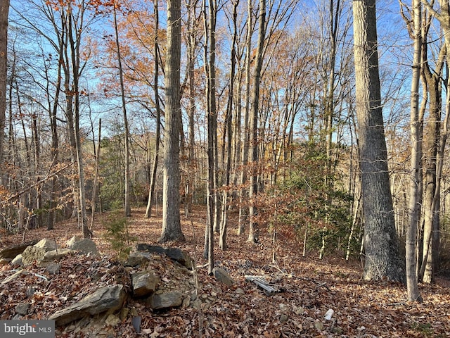 LOT2 Sandy Ridge Rd, Fredericksburg VA, 22405 land for sale