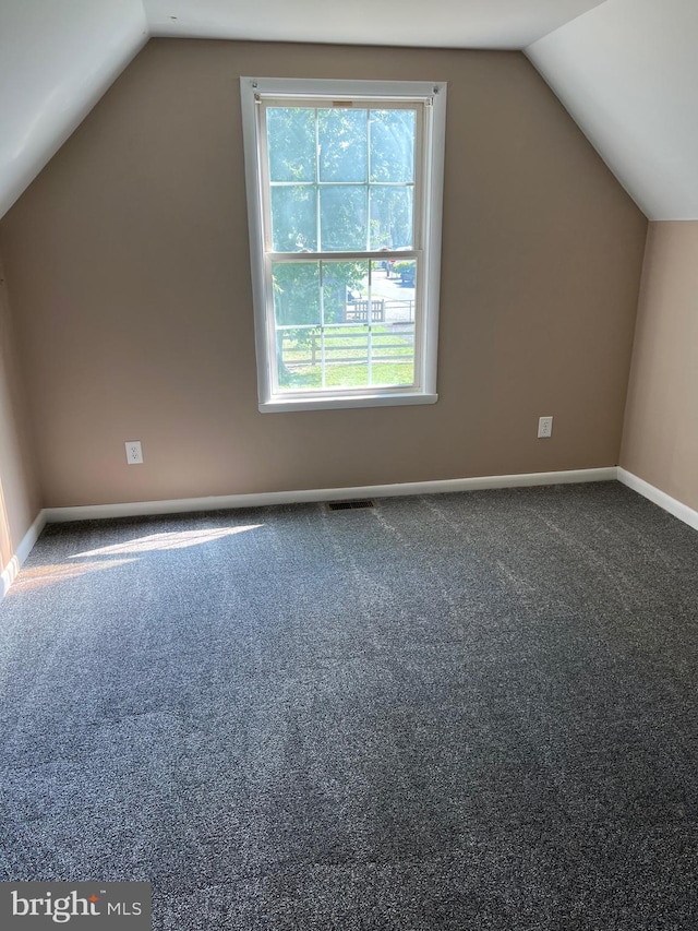 bonus room with lofted ceiling and carpet