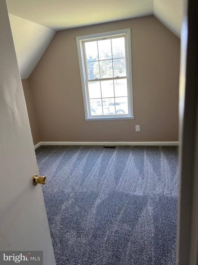 bonus room featuring carpet floors and vaulted ceiling