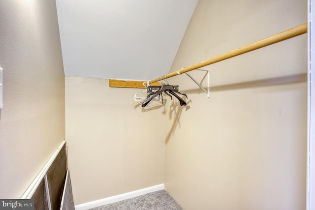 spacious closet featuring carpet and lofted ceiling