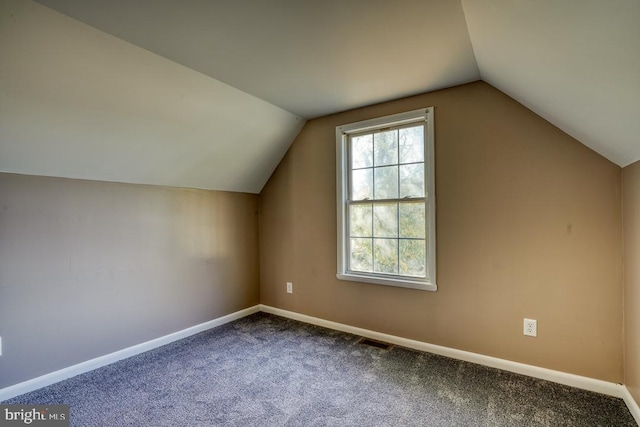 additional living space with lofted ceiling and carpet floors