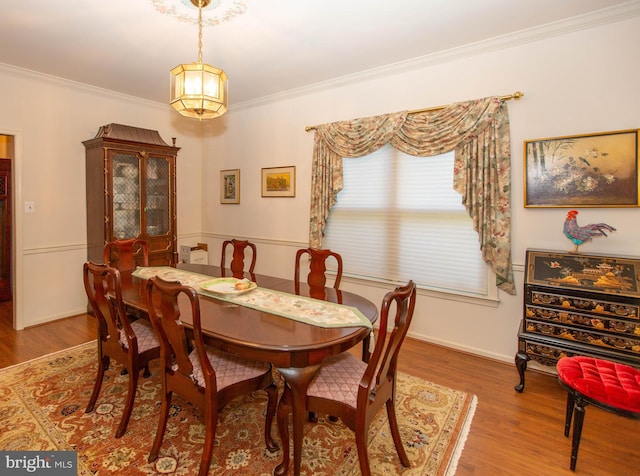 dining area featuring crown molding and hardwood / wood-style floors