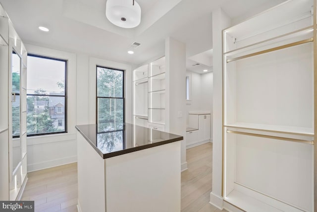 4428 Albemarle St NW, Washington, DC 20016 - walk in closet with light wood-style flooring