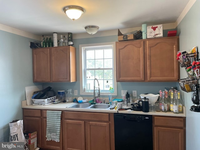 kitchen featuring dishwasher and sink