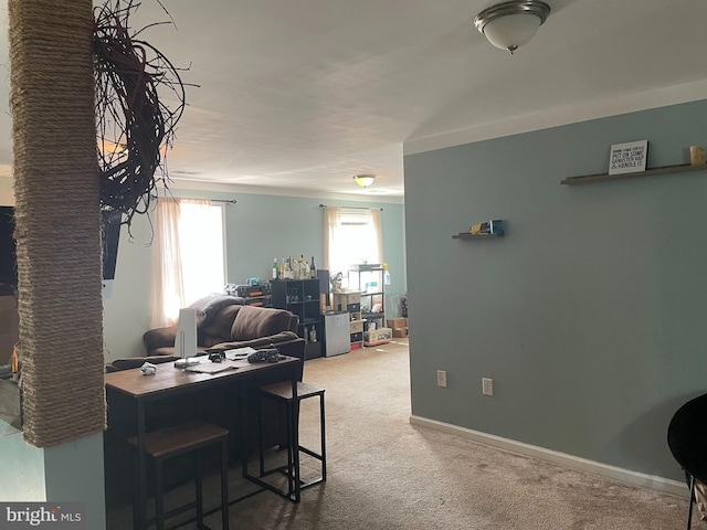 view of carpeted living room