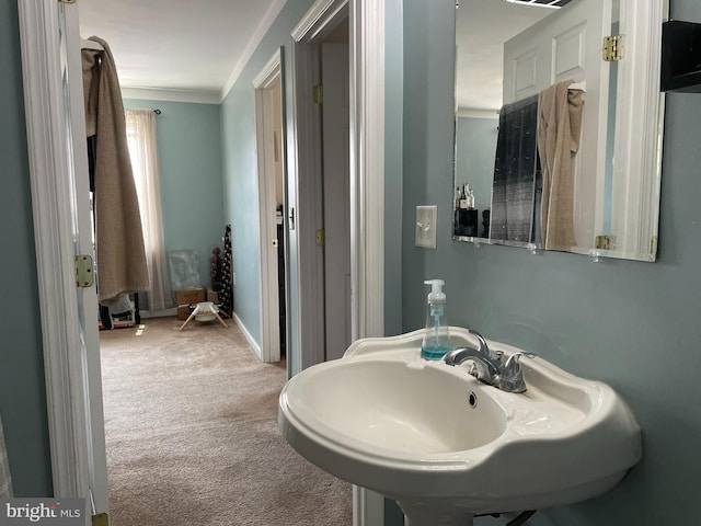 bathroom with sink and ornamental molding