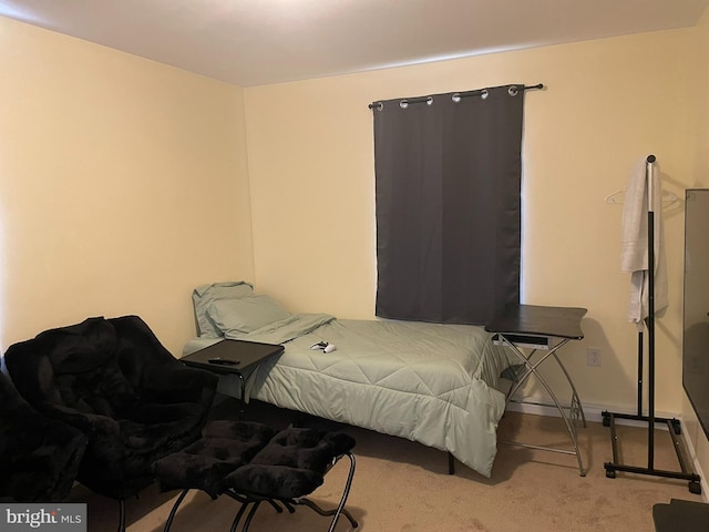 bedroom with carpet floors