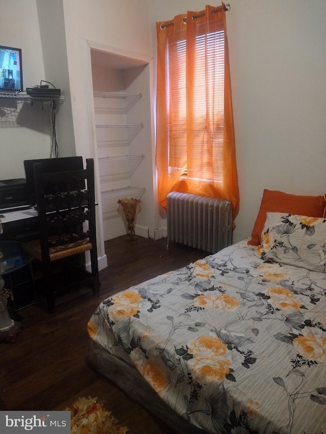 bedroom featuring radiator and dark hardwood / wood-style floors