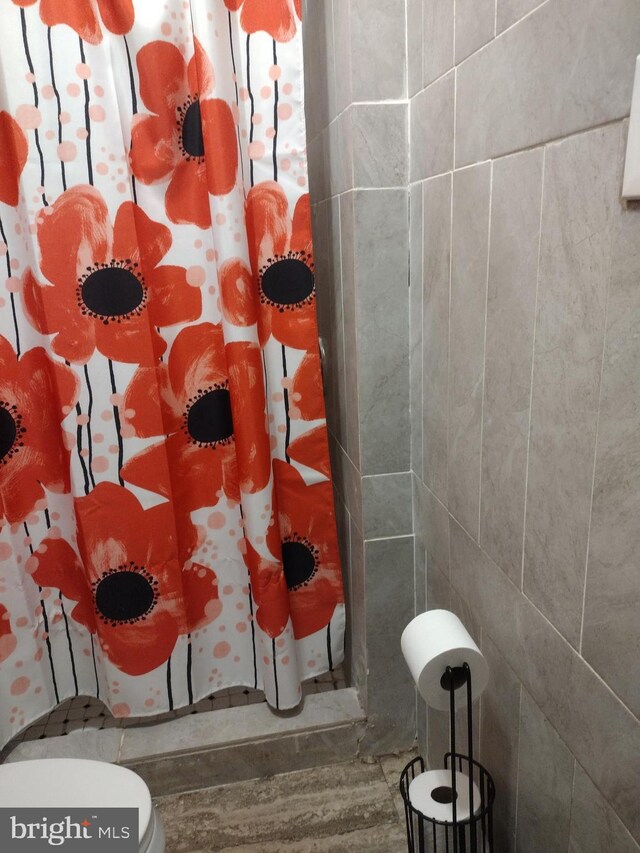 bathroom featuring wood-type flooring