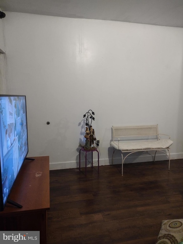 sitting room featuring dark hardwood / wood-style floors