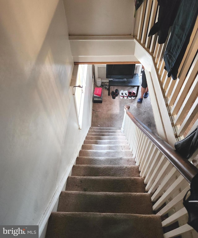 stairs featuring carpet flooring