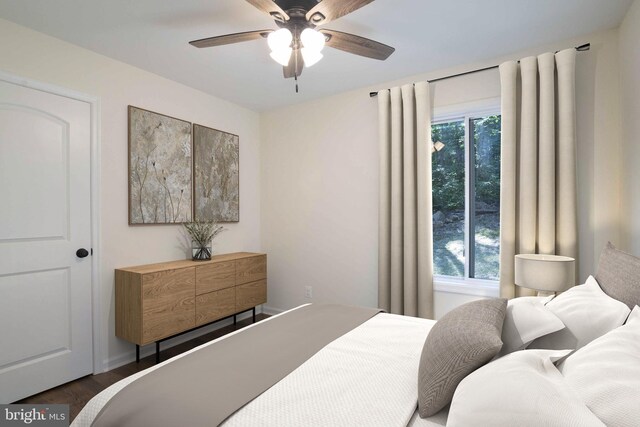 bedroom with multiple windows, dark hardwood / wood-style flooring, and ceiling fan