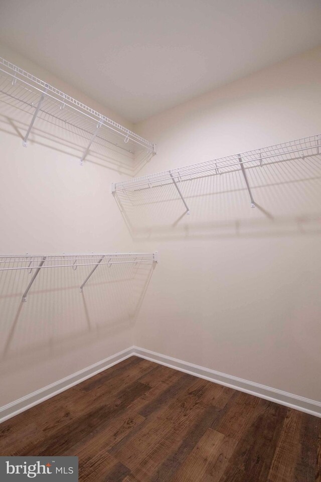 walk in closet featuring dark hardwood / wood-style flooring