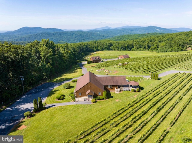 aerial view featuring a mountain view and a rural view