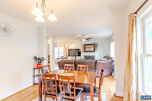 dining room featuring ceiling fan with notable chandelier and light hardwood / wood-style flooring