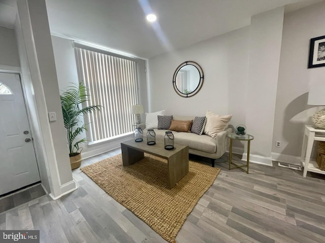 living room with hardwood / wood-style flooring