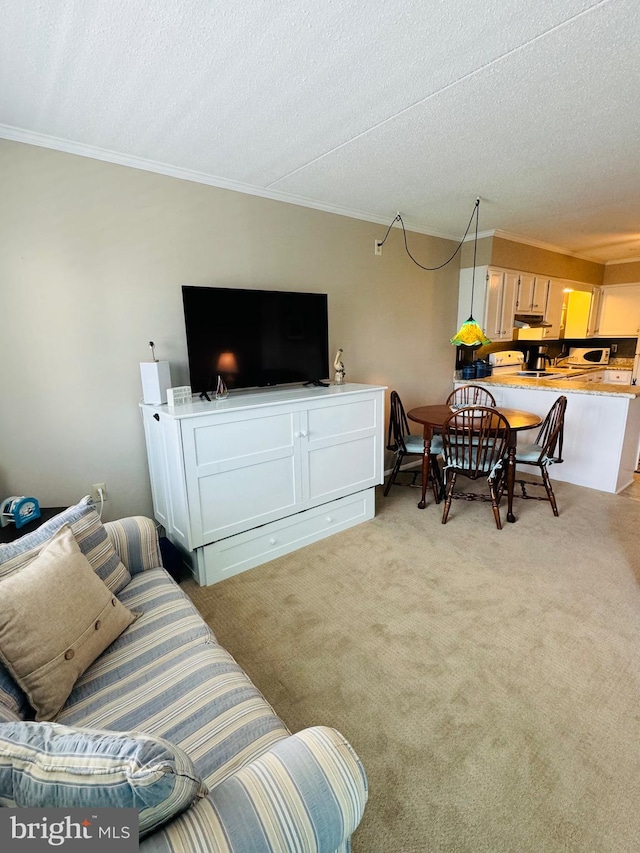 living area featuring ornamental molding, light carpet, and a textured ceiling