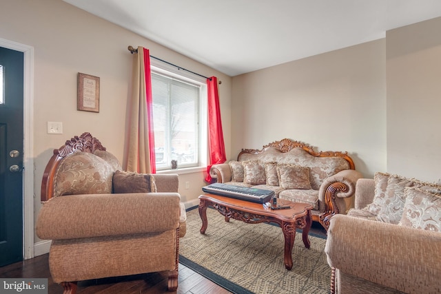 living room with wood-type flooring