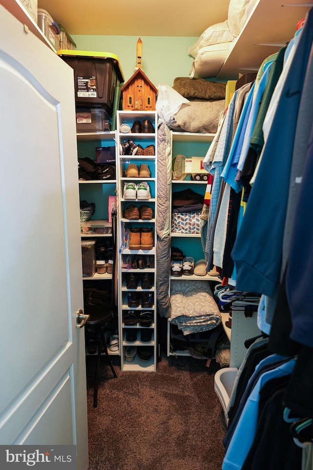 walk in closet with dark colored carpet