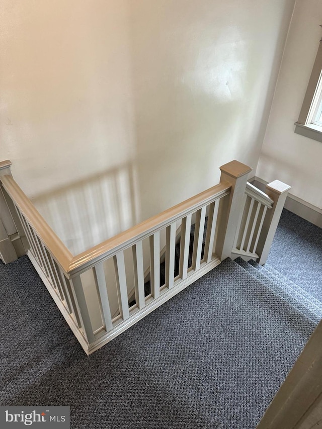 stairway with carpet floors