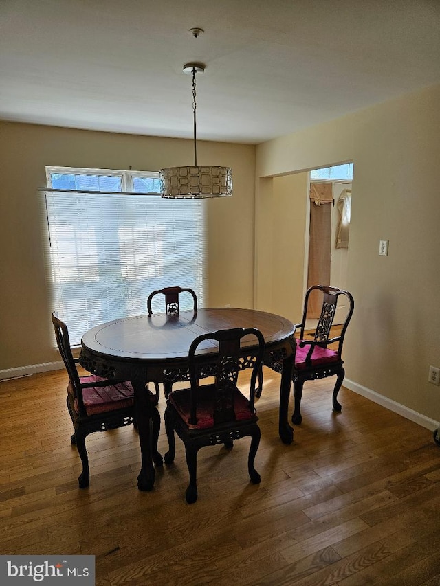 dining room featuring dark wood-type flooring